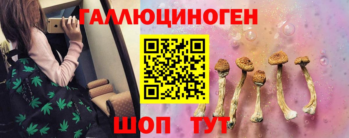 где найти наркотики  Псилоцибиновые грибы мицелий  Вход с VPN  Кушва 